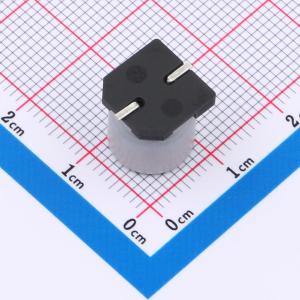 EFVH063ADA101M10B0商品缩略图