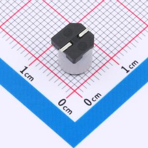 EFVZ050ADA101M0677商品缩略图