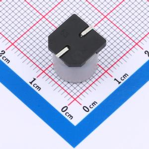 EFVH050ADA101M10B0商品缩略图