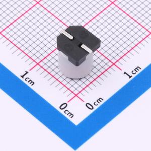 EFVH016ADA101M0677商品缩略图