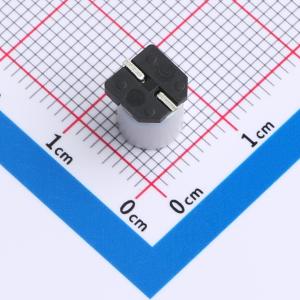 EFVZ010ADA221M0677商品缩略图
