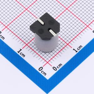 EFVZ025ADA331M08B0商品缩略图