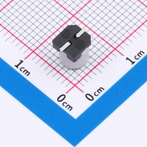 EFVZ010ADA101M0554商品缩略图