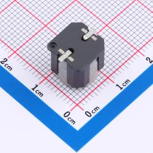 EEH-ZT1H101V商品缩略图