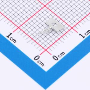 SGN-T商品缩略图