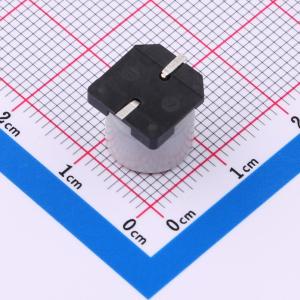 SPT1EM561G10TRVZC商品缩略图