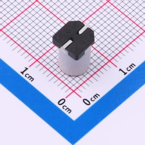 SPT1CM331E09TRVZC商品缩略图