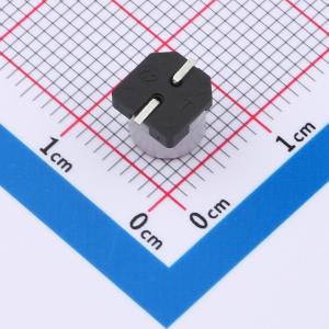 SPT1AM221E05TRVZC商品缩略图