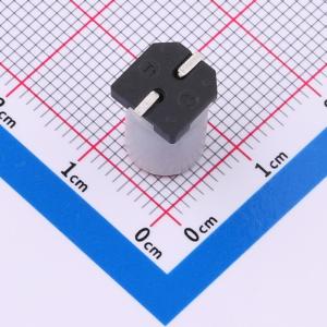 SPT1EM561F12TRVZC商品缩略图