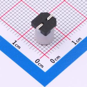 SPT1EM101E08TRVZC商品缩略图