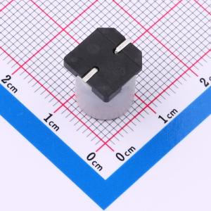 SPT1VM681G12TRVZC商品缩略图