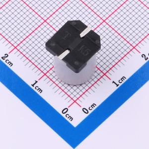 SPT1CM102G12TRVZC商品缩略图