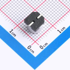 SPT1CM221E05TRVZC商品缩略图