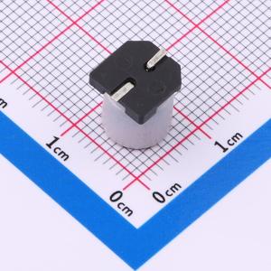 SPT1CM221F09TRVZC商品缩略图