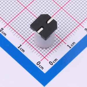 SPT1HM101F12TRVZC商品缩略图