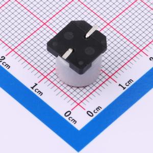 SPT1VM331G10TRVZC商品缩略图