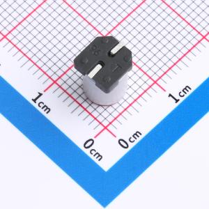 SPT1VM101E08TRVZC商品缩略图