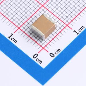 FS55X335K251EHG商品缩略图