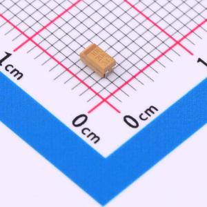 T491A106K020AT商品缩略图