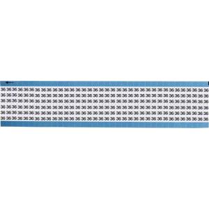 TWM-36-SC-PK商品缩略图