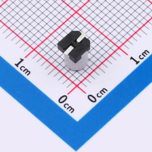 RVT1A470M0405商品缩略图