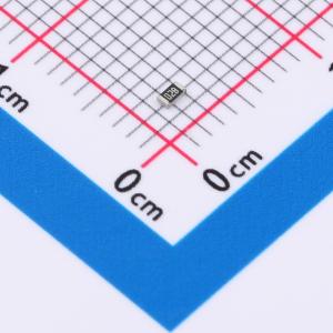 RCA031K02FLF商品缩略图