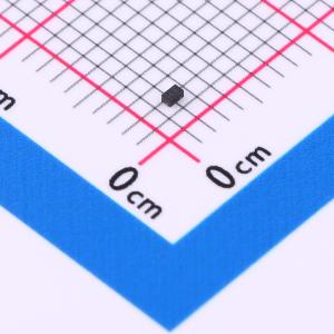 WSB5539N-2商品缩略图