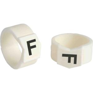 SCN61-F商品缩略图