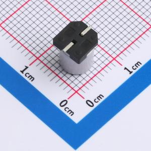 BLA35V47M6.3*8商品缩略图