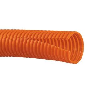 CLT38F-C3商品缩略图