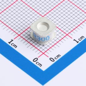 2R300M-S6242商品缩略图