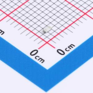 RCS06030000Z0EA商品缩略图