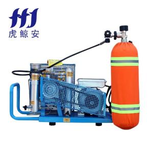 虎鲸安 NRX100-IS/I 正压式空气呼吸器充气泵 650*380*440mm 单位:套