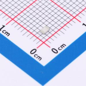 RT0805DRE07100RL商品缩略图