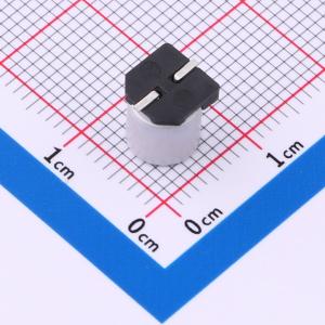 EFVG016ADA101M0677商品缩略图