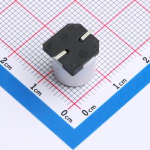 EFVD400ADA8R2M10B0商品缩略图