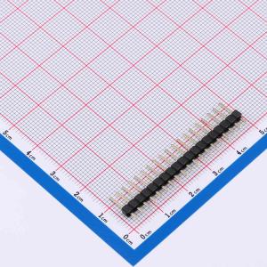 PZ254V-11-19P商品缩略图