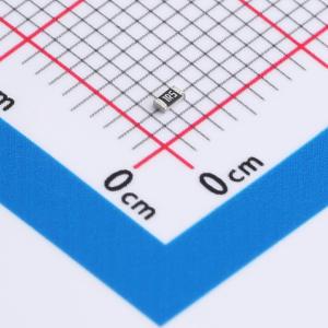 RCA031R5JLF商品缩略图