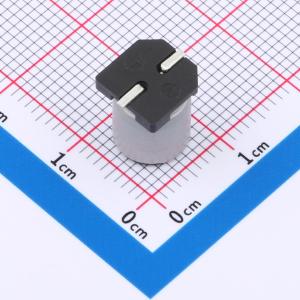 RVT1J101M0810商品缩略图