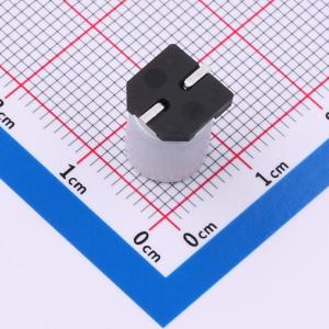 GVE1E477M0810CN商品缩略图