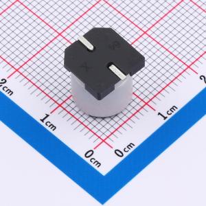 GVL2A476M1010CN商品缩略图