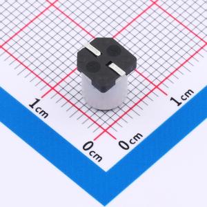 GVT1C227M0608CN商品缩略图