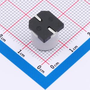 GVZ2A476M1010CN商品缩略图