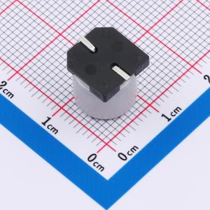 GVZ1C108M1010CN商品缩略图