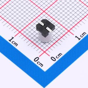 RVT1E100M0405商品缩略图