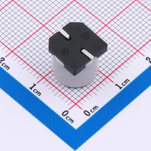 GVZ1A108M1010CN商品缩略图