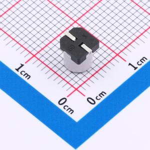 GVT1H106M0506CN商品缩略图