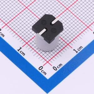 GVT1E337M0810CN商品缩略图