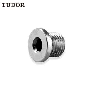 TUDOR/帝都 不锈钢喉塞 规格NPT1/4-18 2T6882