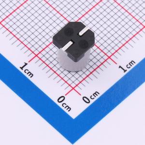 GVZ2A106M0608CN商品缩略图